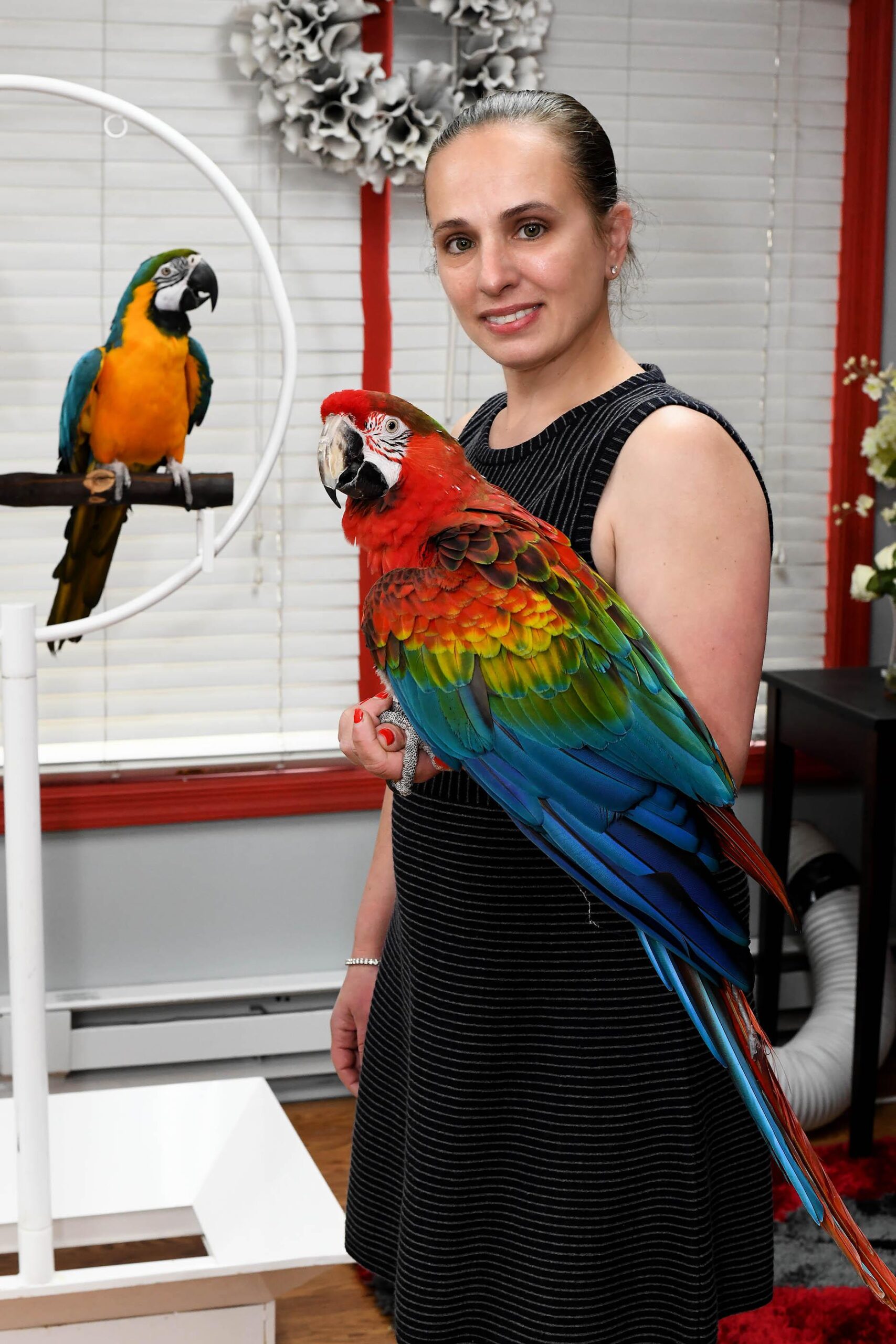 Exotic Birds Online