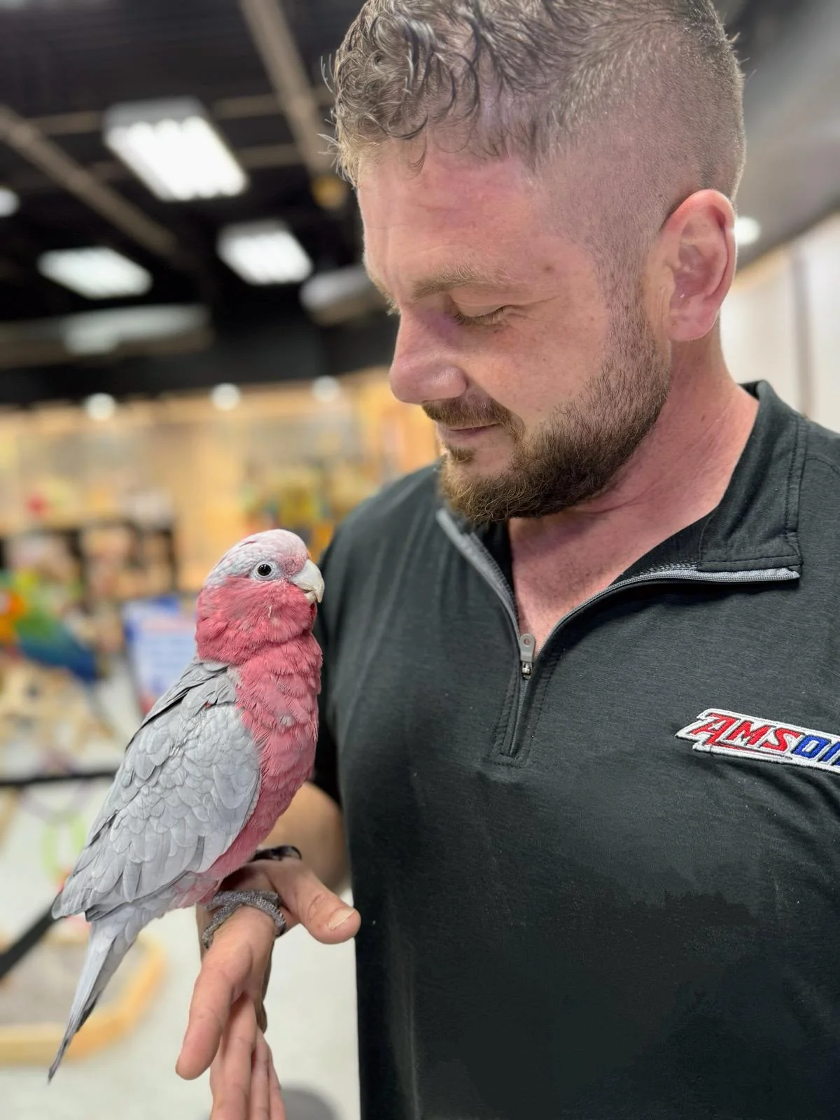 Exotic Birds Online