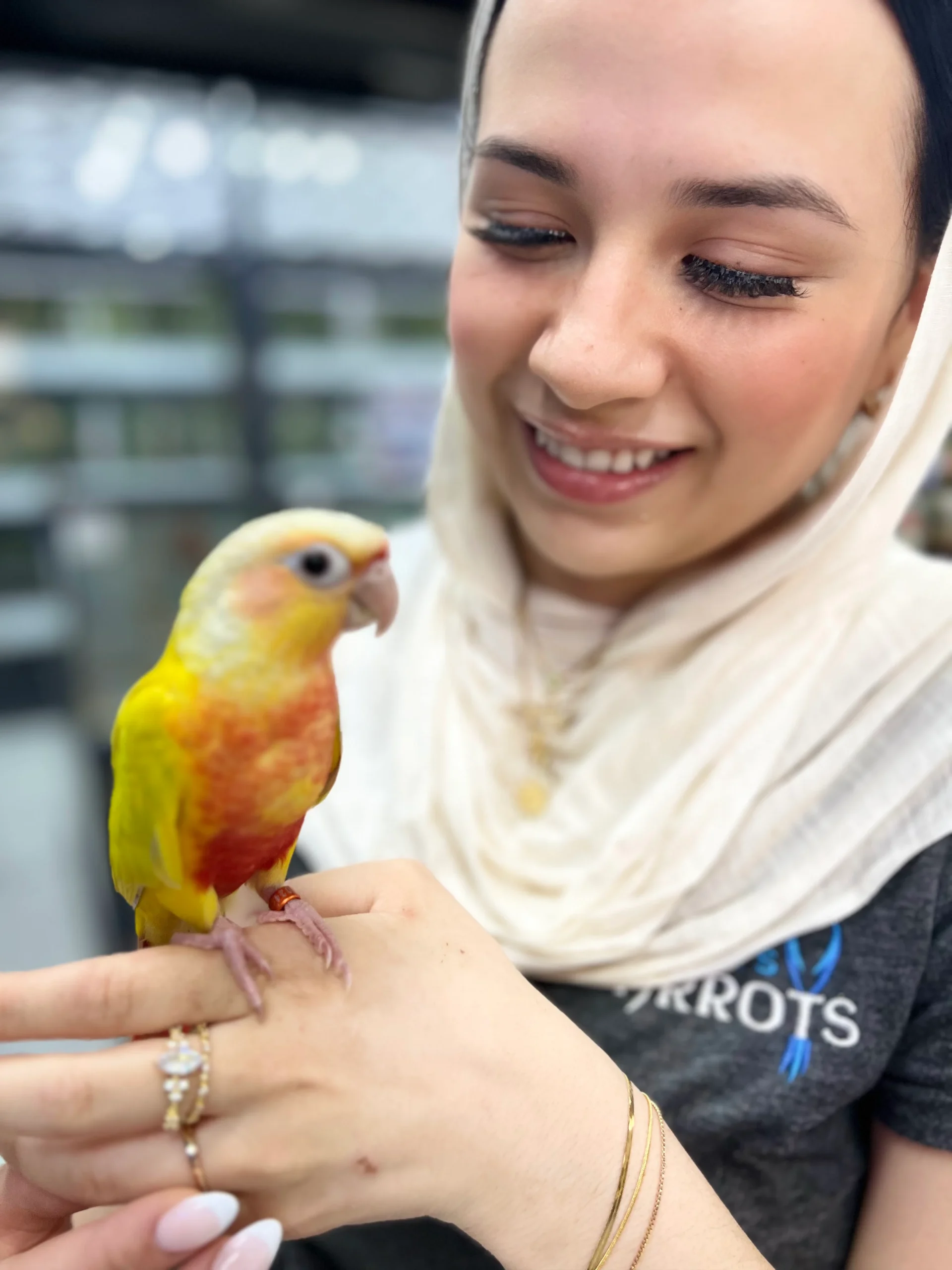 Exotic Birds Online