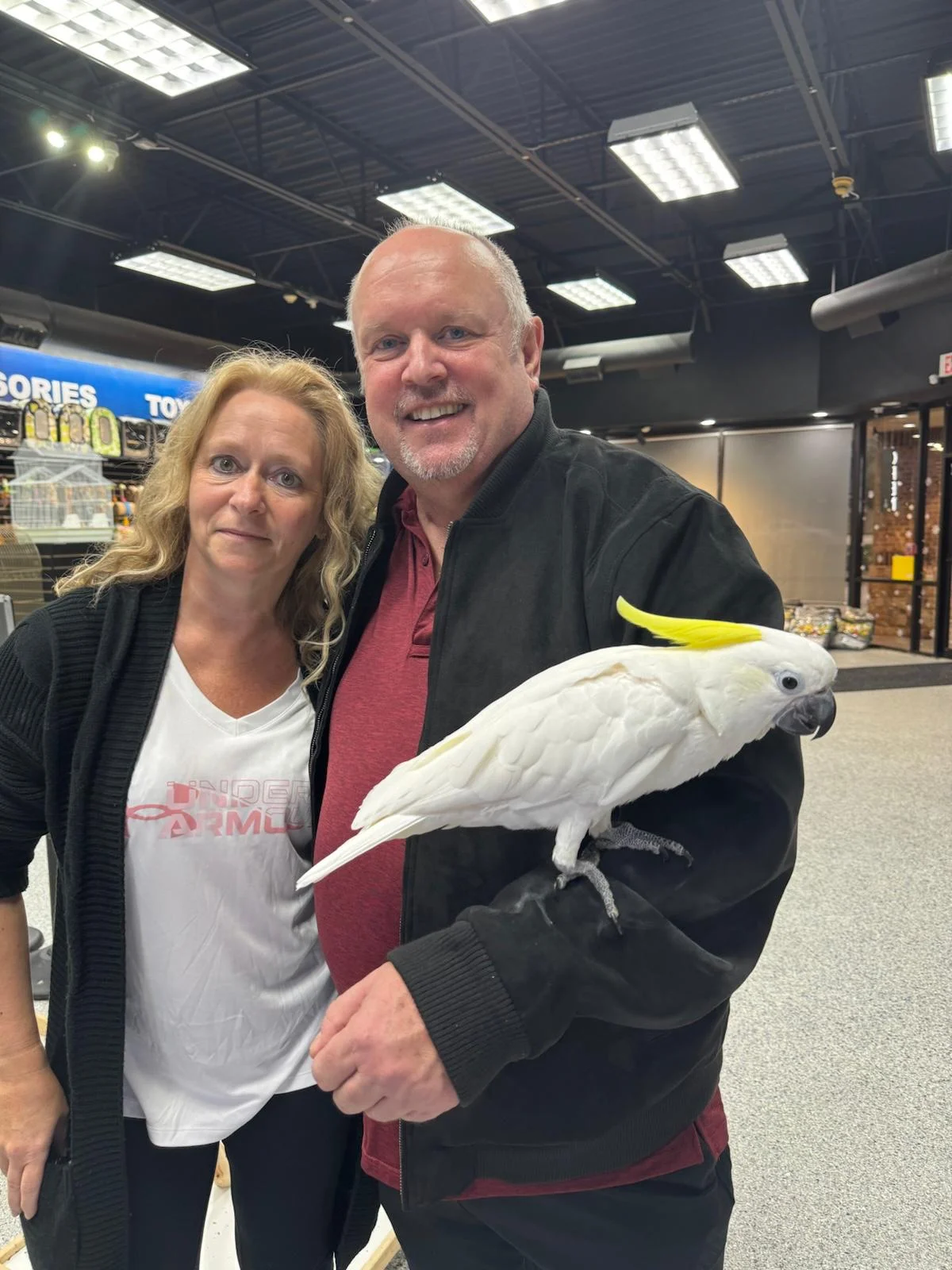 Exotic Birds Online