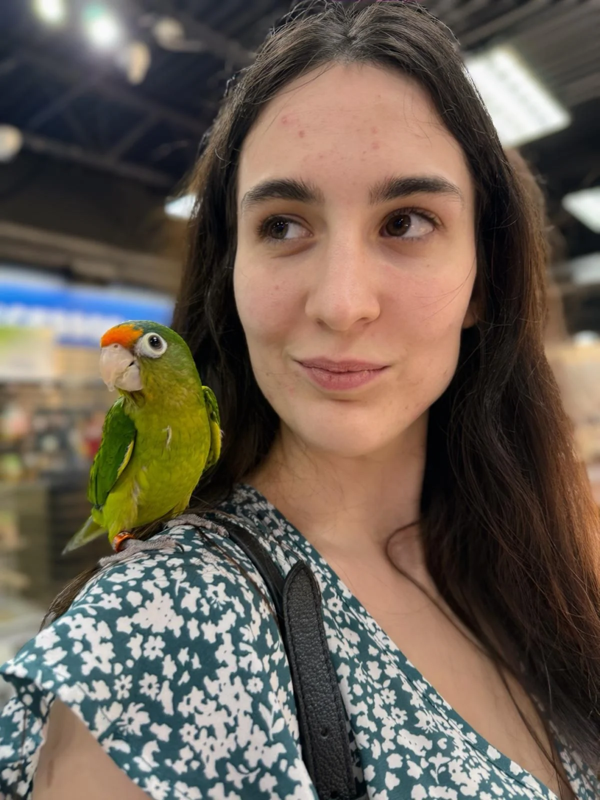 Exotic Birds Online