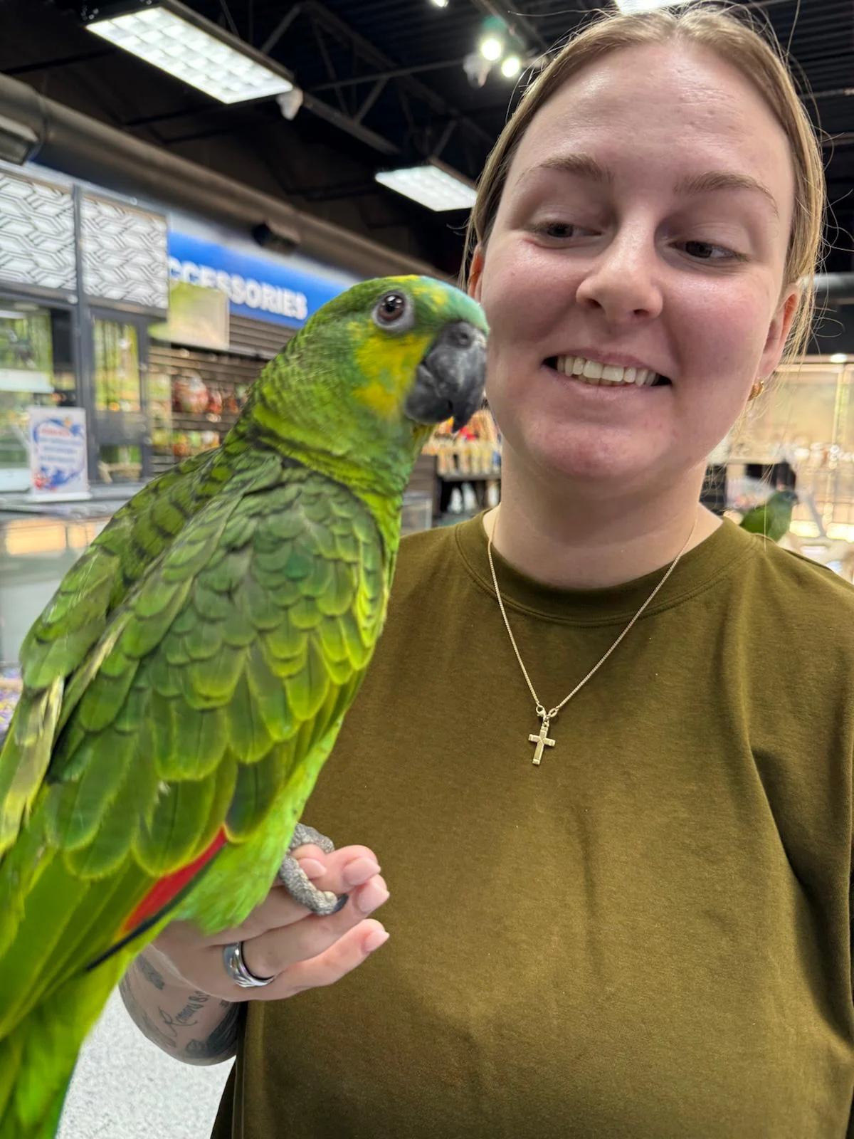 Exotic Birds Online