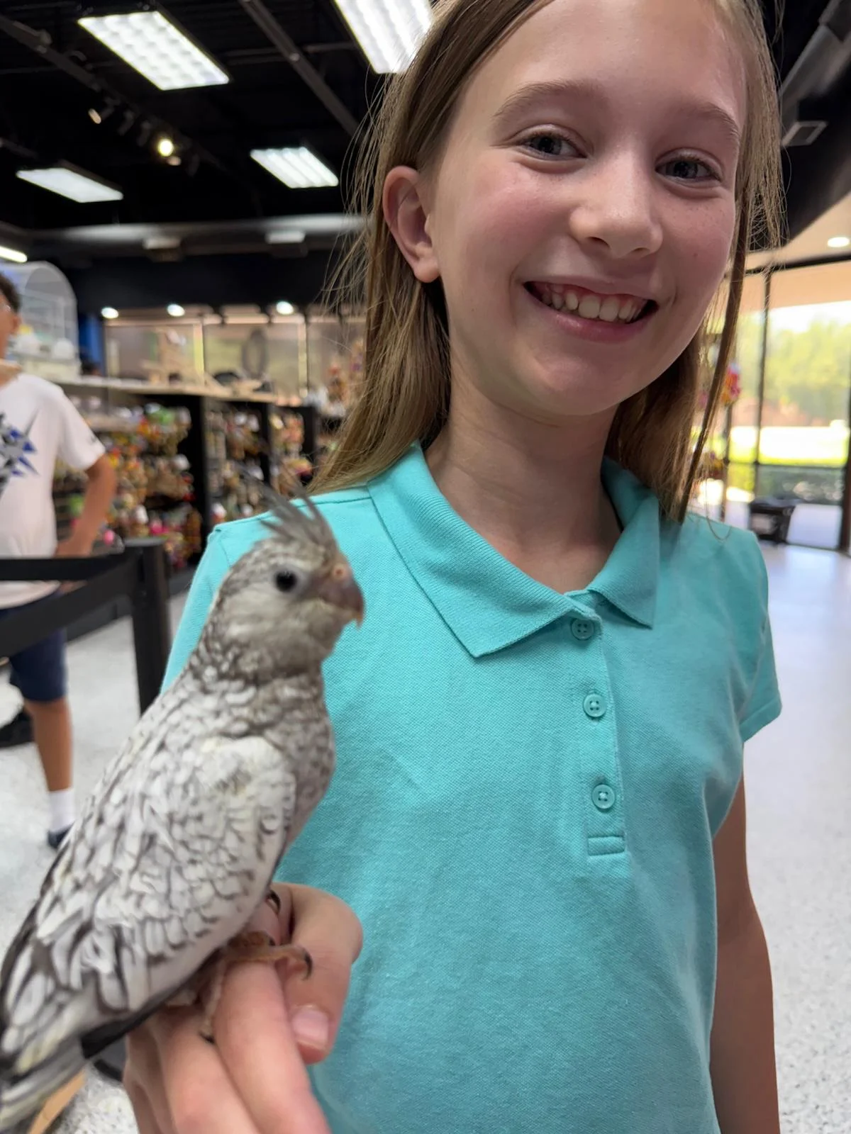 Exotic Birds Online
