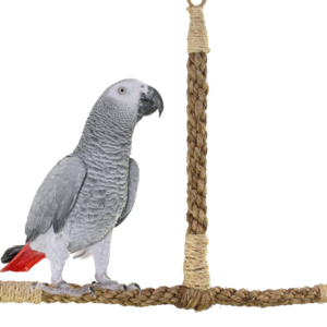 Sisal Swing MD